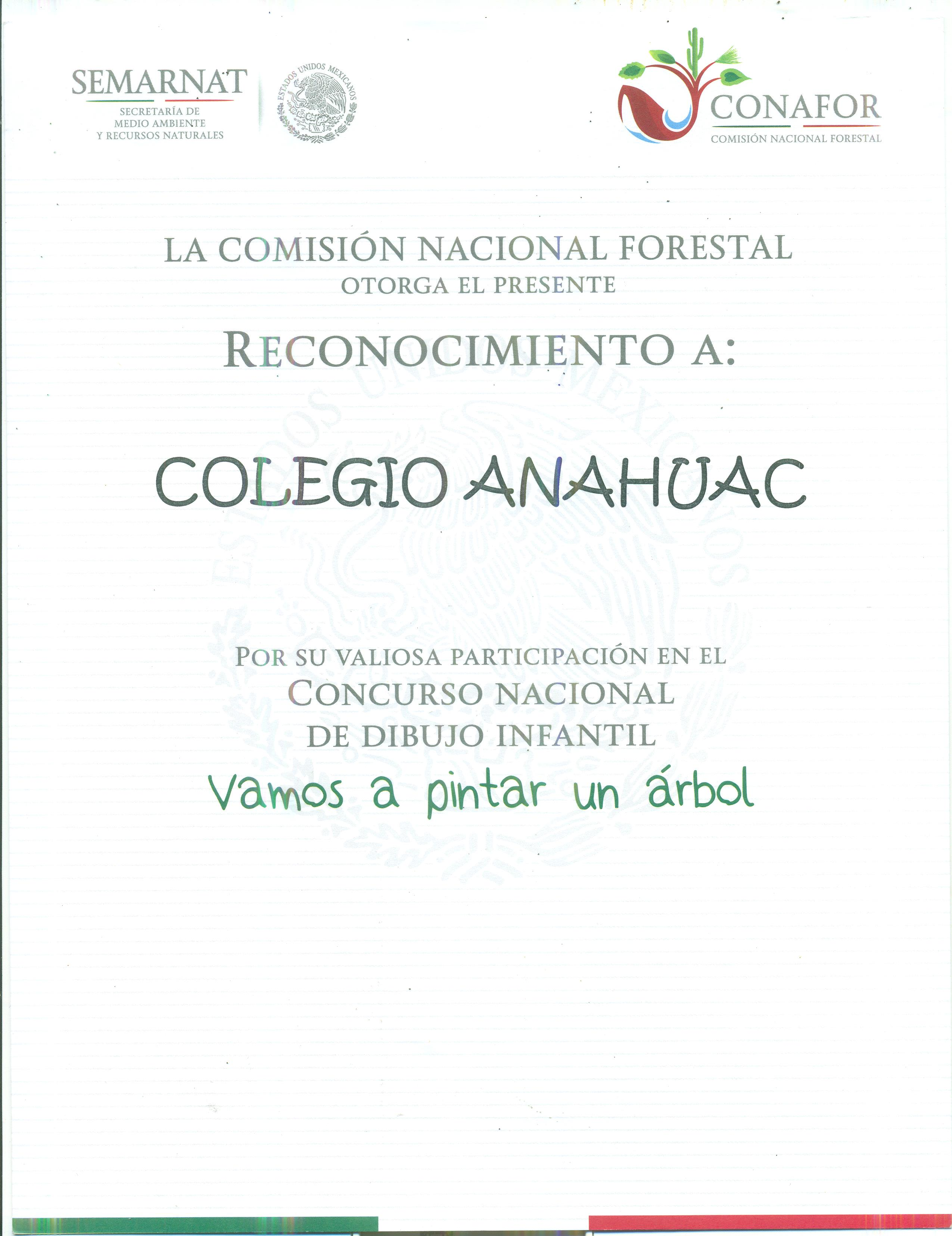 Consurso Nacional del Dibujo Infantil 'Vamos a Pintar un Árbol'